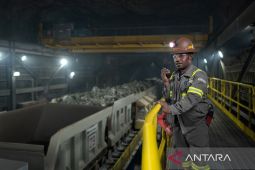 PT Freeport setor Rp3,35 triliun kepada Pemprov Papua Tengah