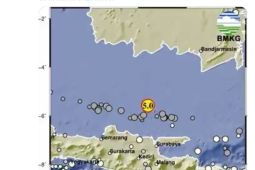 BMKG Tuban belum terima laporan kerusakan akibat gempa