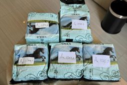 Petugas Bea Cukai Soetta amankan penumpang pembawa sabu 5 kg