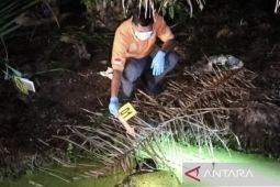 Polisi selidiki kasus tewasnya pekerja di kebun kelapa sawit di Nagan Raya