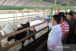 Pj Gubernur Kaltim ajak pemuda jadi petani dan peternak