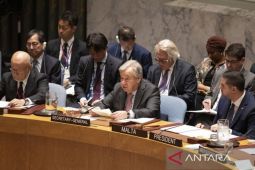 Mesir, Saudi, Irak sambut resolusi PBB soal keanggotaan Palestina