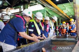 Kementerian BUMN pastikan kelancaran bisnis PT Timah