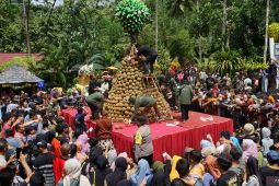 International Durio Festival 2024