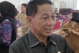 DPRD apresiasi Karnaval Budaya dalam memeriahkan Hari Jadi ke-22 Kabupaten Murung Raya