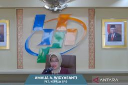 BPS: Surplus neraca perdagangan RI terus berlanjut pada Maret