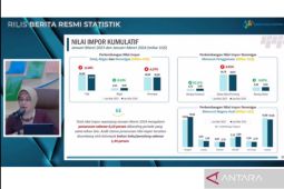 BPS: Mesin hingga bahan bakar mineral alami penurunan impor