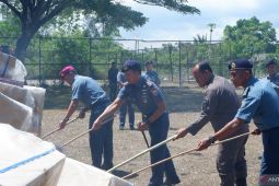 Lanal Lhokseumawe musnahkan 350 dus rokok ilegal senilai Rp1,3 miliar