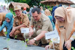 "Kampung Banturanku" dukung pertanian kota untuk Banjarbaru Juara