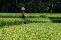 Kemenkominfo memastikan kesiapan jaringan 5G selama World Water Forum