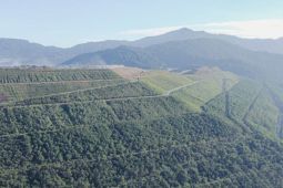 Tingkatkan efektivitas reklamasi, AMMAN adopsi teknologi terkini