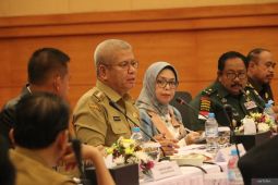 Pemprov Kalbar optimalkan 61.000 ha persawahan di rawa non-gambut