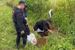 Aparat Brimob Polda Bengkulu musnahkan mortir sisa Perang Dunia II