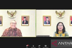 BI optimalkan operasi moneter pro-market untuk dukung stabilitas rupiah