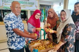 Pemkab Sidoarjo beri pelatihan budi daya peking