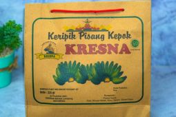 Keripik Kresna UMKM binaan BRI gunakan QRIS permudah transaksi