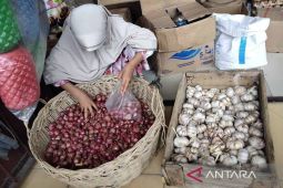 Pemkab Aceh Timur intensifkan pemantauan harga kebutuhan pokok