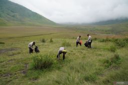 Pembersihan kawasan wisata Gunung Bromo