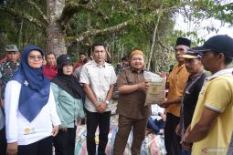 Tanam bibit padi unggul lokal silatihan bersama Bupati Tapsel