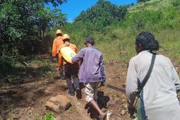 Tim SAR temukan nenek yang hilang di Sikka meninggal