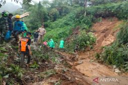 Tanah longsor tutup akses jalan Lintas Curup-Muara Aman Bengkulu