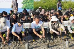 Sekda Bali ajak anak muda tanam seribu bibit mangrove