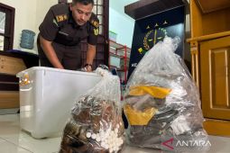 Kisah Ayah dan Anak Penjual Kulit Harimau Sumatera