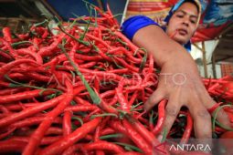 BI antisipasi potensi inflasi Aceh pada 2024 terutama volatile food