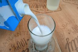 Cara simpan susu yang baik menurut dietisien