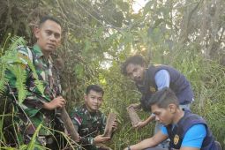 Perempuan Long Jalan Malinau hadang pemburu gaharu