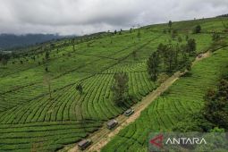 Program wisata Land Rover Experience