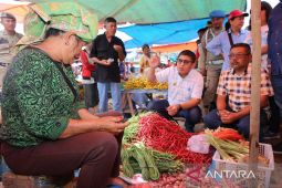 Pj Bupati Taput Dimposma sidak pasar Tarutung jaga stabilitas harga