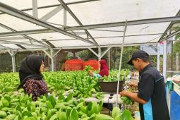 Program TJSL Pertamina di Jambi diganjar penghargaan internasional