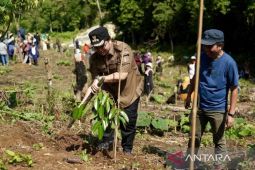 Bupati HST Kalsel ajak semua ASN jaga tradisi tanam pohon untuk jaga kelestarian Meratus