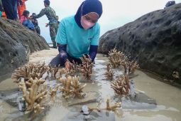 Komunitas JBN lakukan konservasi lingkungan hidup di Natuna