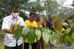 BRIN pays special attention to Banua Botanical Garden