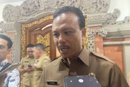 Gubernur Bali sampaikan kesiapan pelaksanaan World Water Forum ke-10 kepada Presiden