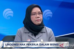 Pemerintah bentuk gugus tugas perlindungan HAM di lingkungan bisnis