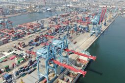 Pelindo Petikemas gandeng PBM optimalkan bongkar muat di Tanjung Priok