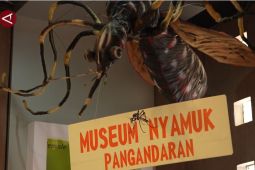 Museum Nyamuk satu-satunya di Indonesia