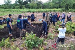 Urgensi melindungi kubah gambut, Si pengendali air
