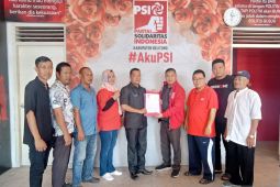 PSI Belitung andalkan hasil survei usung kandidat Cakada Pilkada 2024