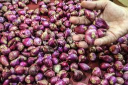 Kenaikan harga bawang merah beri andil inflasi Kota Malang