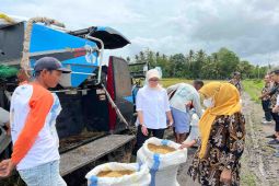 Bulog serap 30 ribu ton gabah petani per hari
