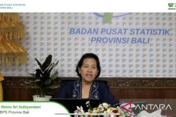 BPS Bali catat inflasi beras April turun dampak panen raya