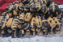 Polda Aceh gagalkan peredaran 300 kilogram ganja