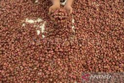 BPS: Beras dan bawang merah penyumbang inflasi Aceh pada April 2024