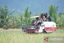 Penyaluran dana desa di Kalbar hingga Maret 2024 mencapai Rp536,93 miliar