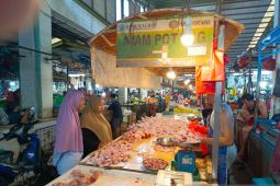 Sebagian harga pangan di Pontianak mulai turun