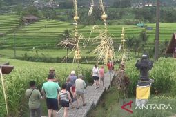 100 delegasi China ke Jatiluwih saat World Water Forum